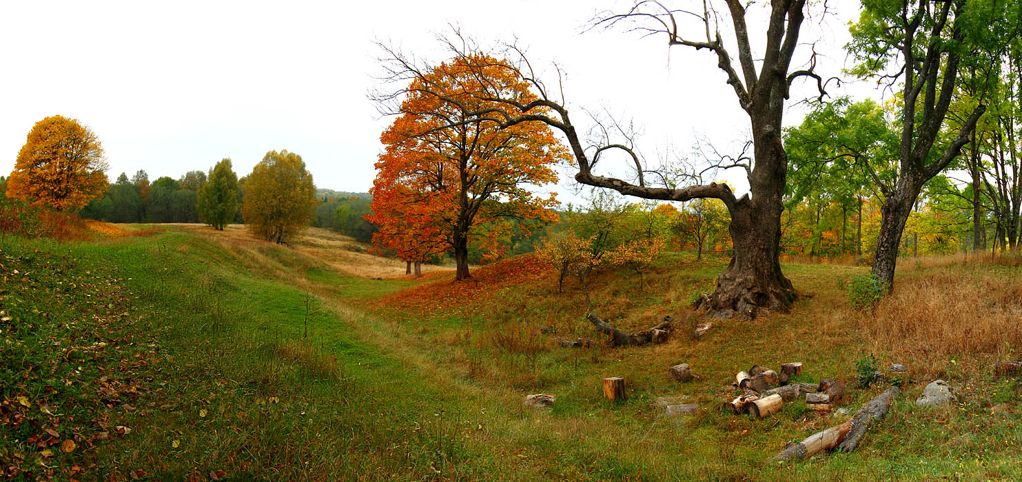 Осенняя Зарисовка