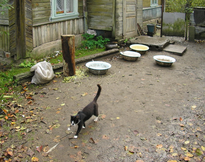 опять ничего не положили...