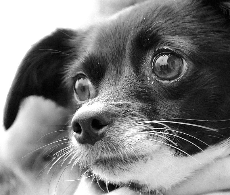 Без названия