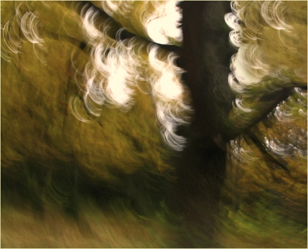 фоторисунок