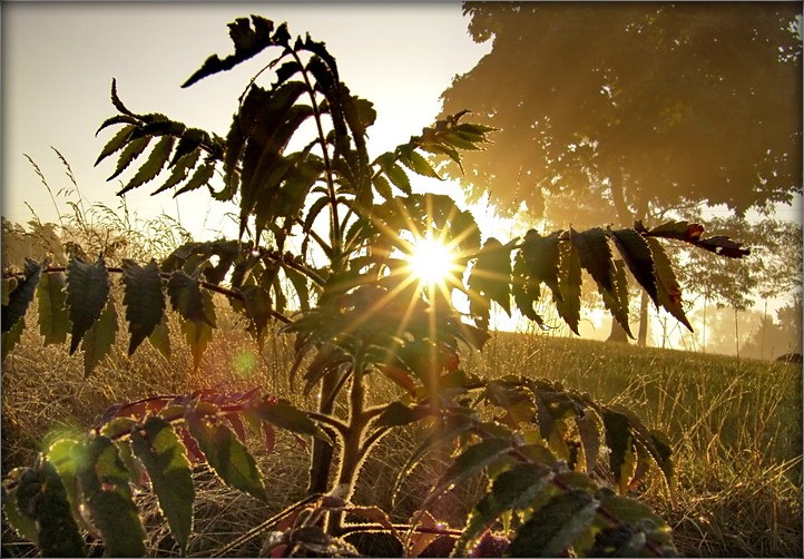 гэтая таемная здань -- сумáк