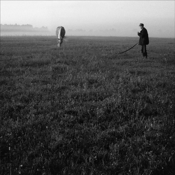 ходють кони ...