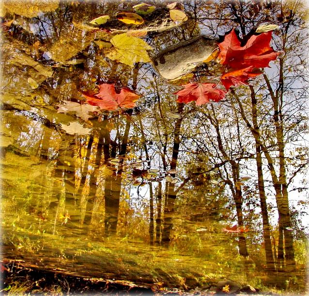 восень. міражы..