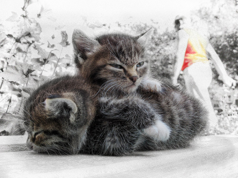 ...треугольник одиночества...