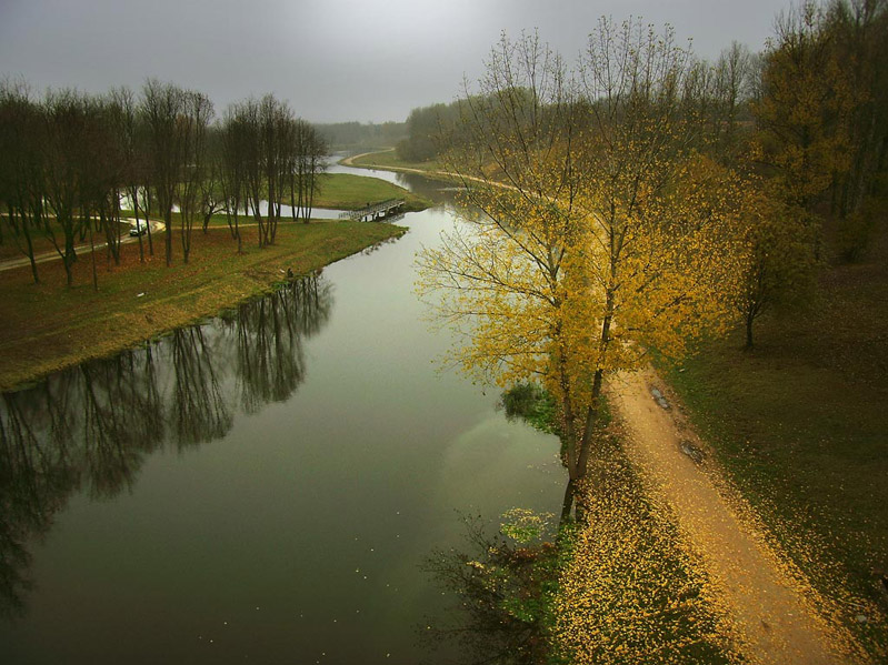 Последние листья