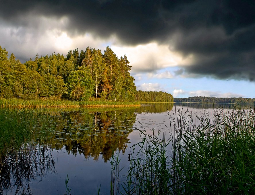 Тревожное настроение природы