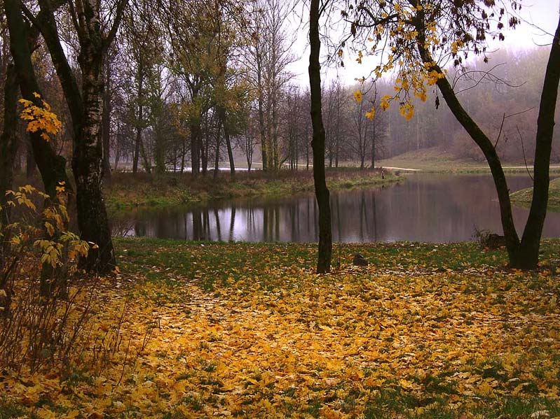 Когда нет солнца