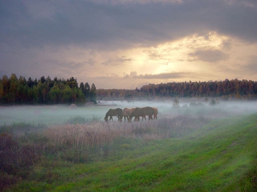 Тихий вечер