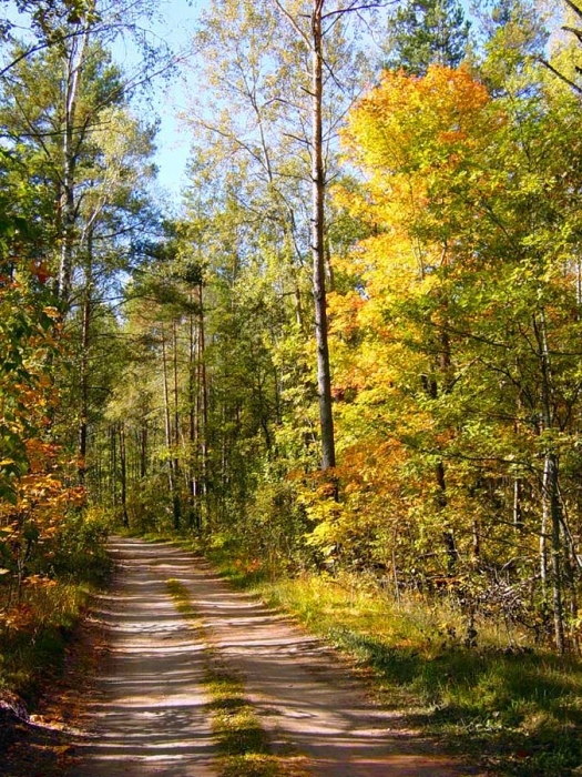 Свет и тень