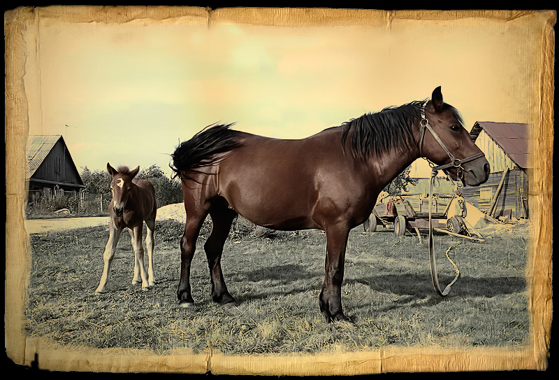 Деревенская...