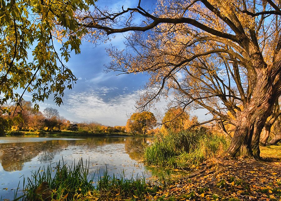 Золотая осень