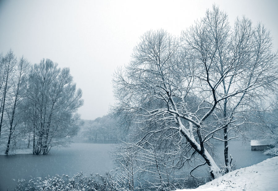 Зима на озере