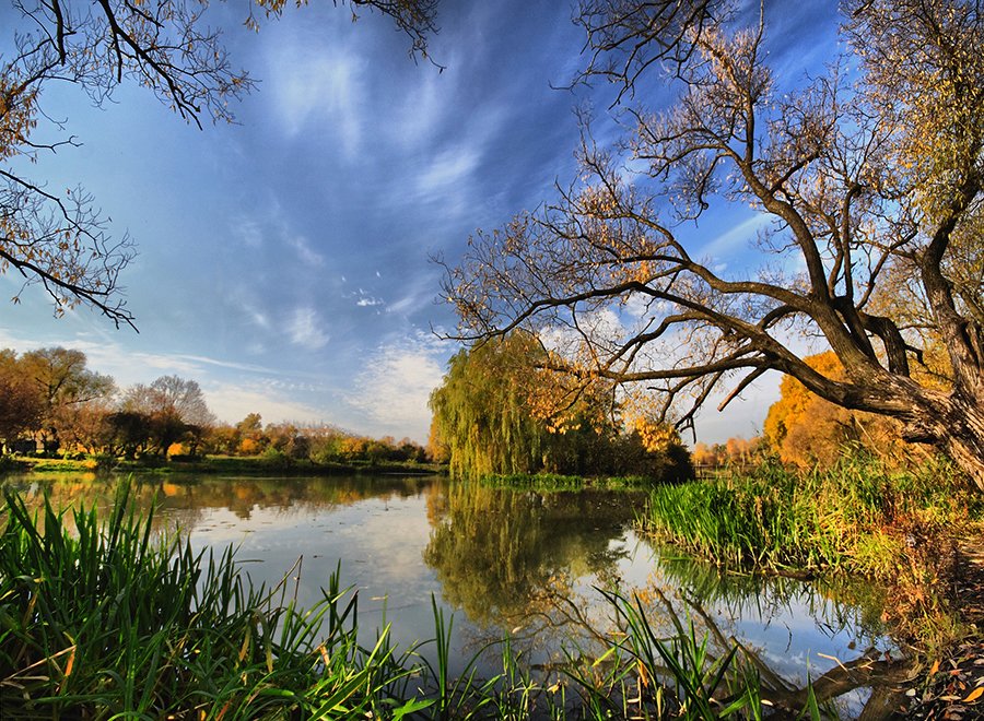 Любимая пора! Очей очарованье!