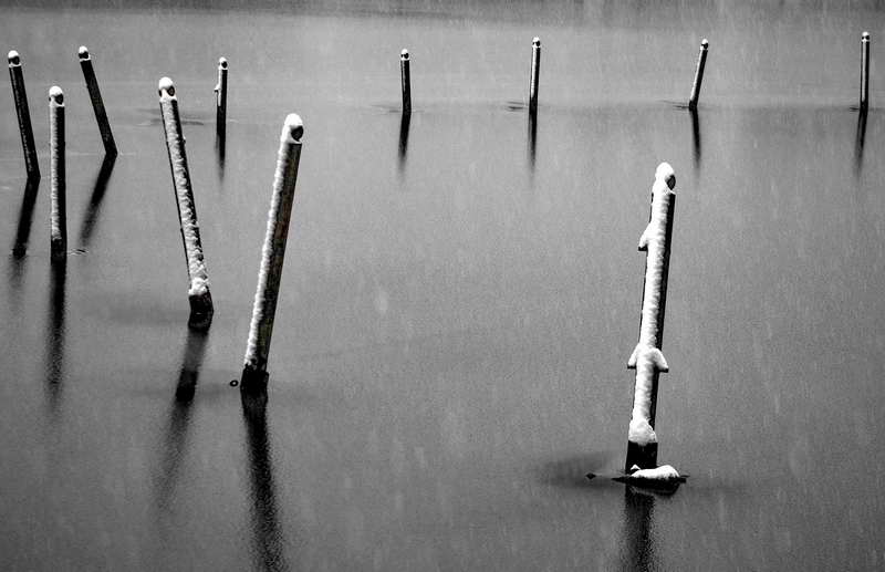 лягушатник