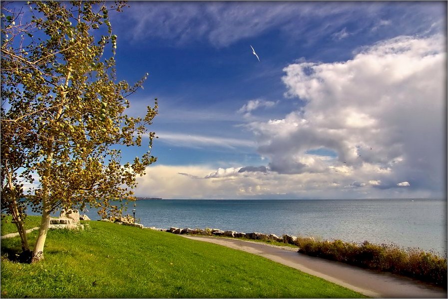 яшчэ раз пра Антарыё..