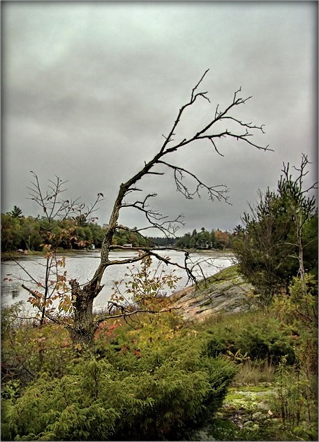 Group Of Seven style