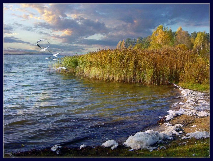 После грозы