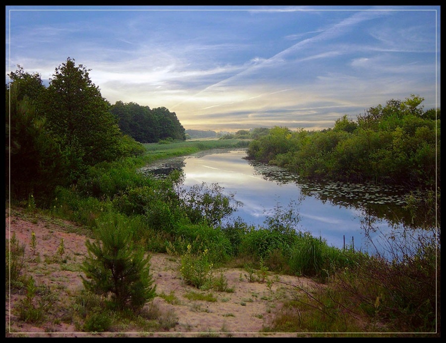 Старое русло Немана