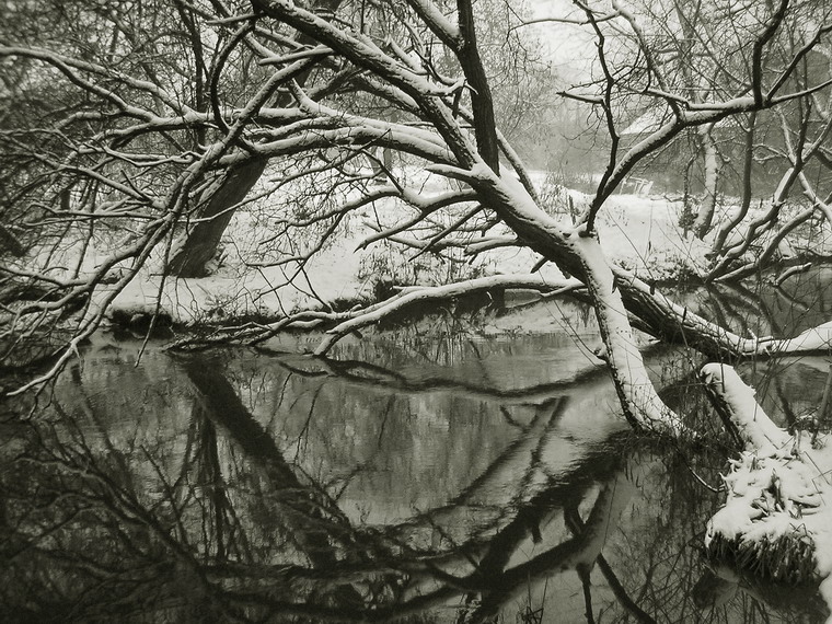 зимний сон 3