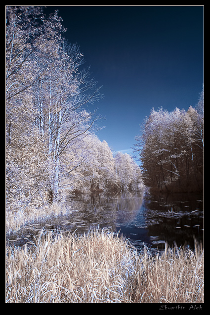 Тихая заводь