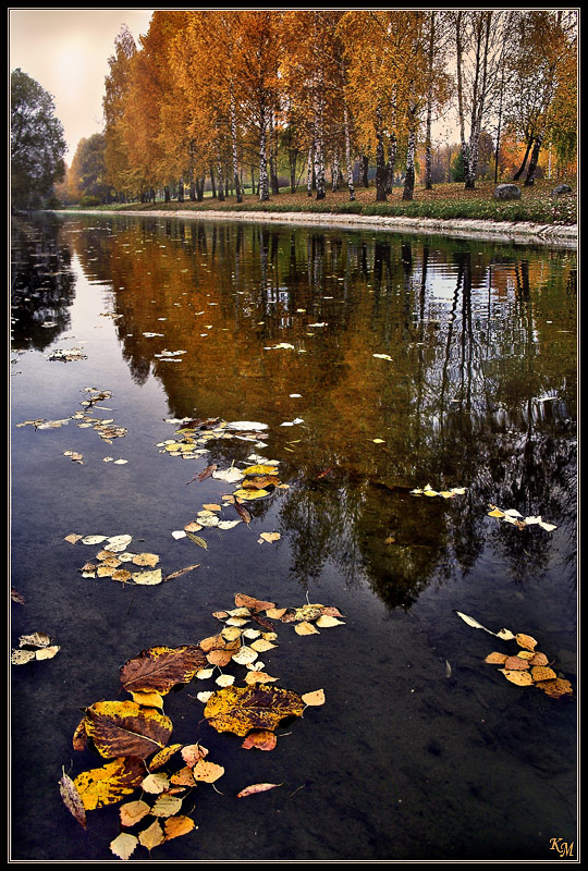Проплывала осень