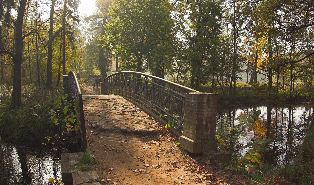 просто осень...