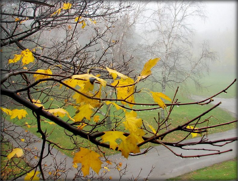 каляндарны настрой