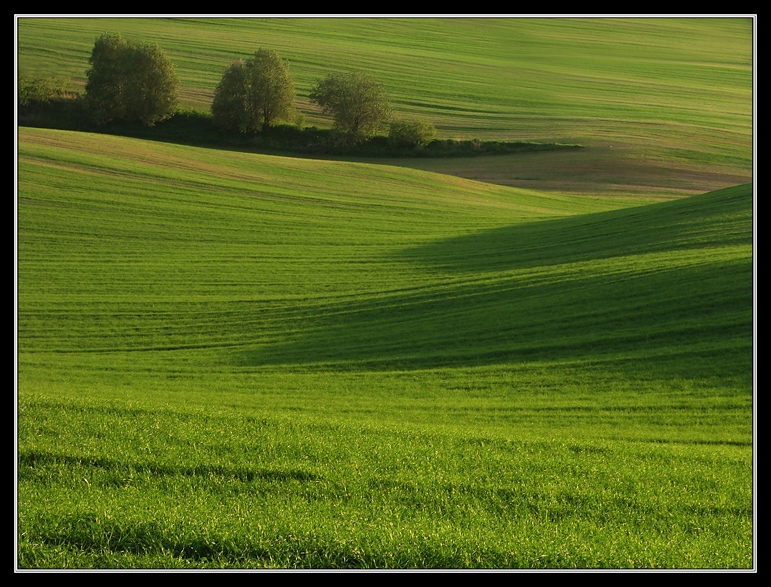 про изгибы и линии_2