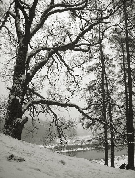 зимний сон 4