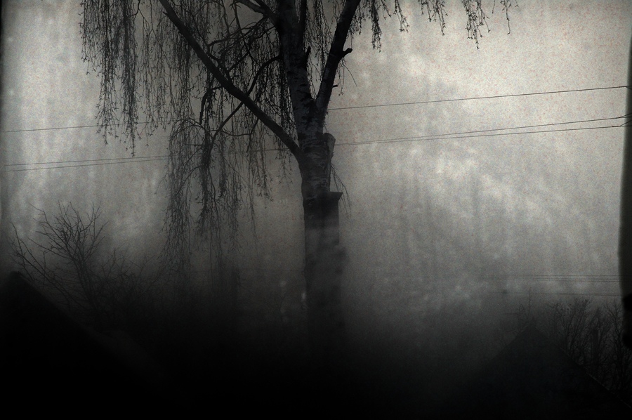 Зовет и манит...