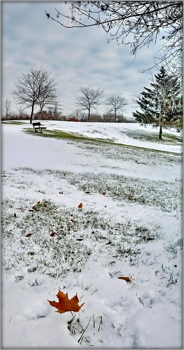 раніцаю ціхая зіма двор зрабіла белым і халодным..