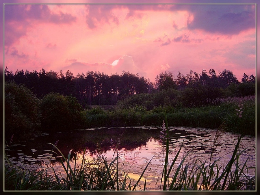 Малиновый звон на заре