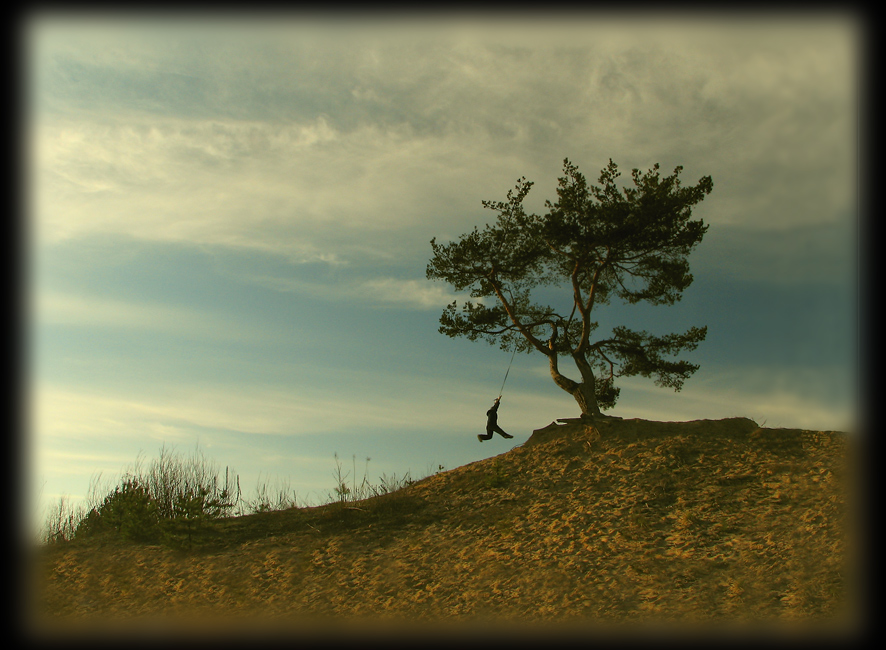 весна в Долине одинокой сосны