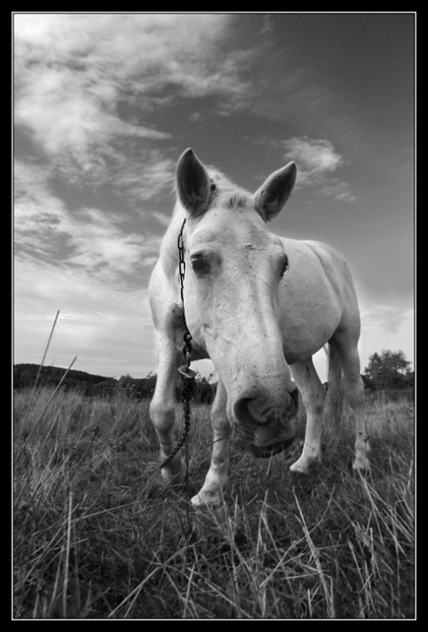 слушай чо скажу :)