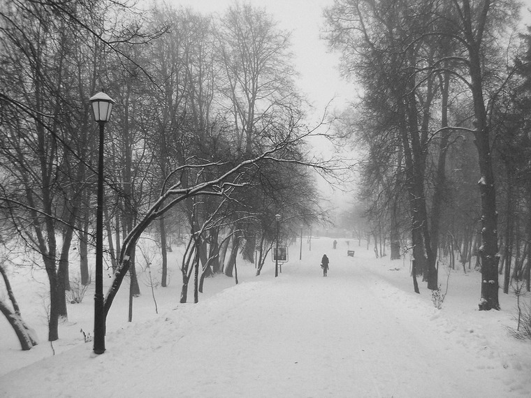 зимний сон семь