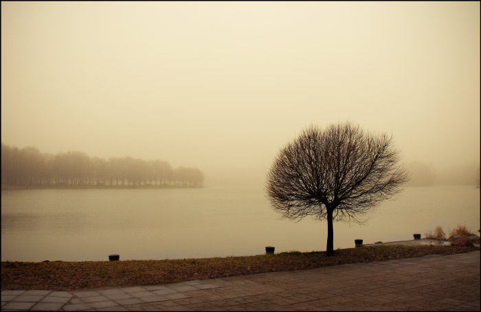 Особенности национальной зимы