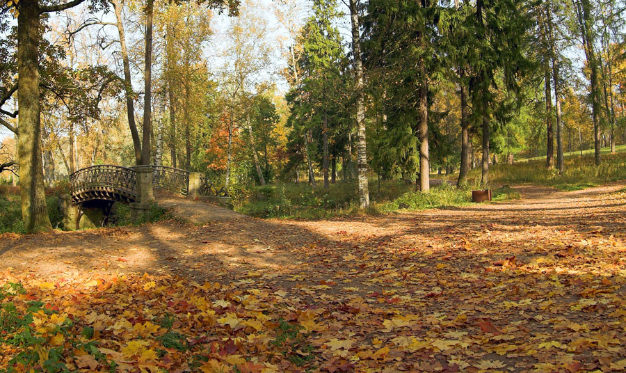 осенние дорожки...