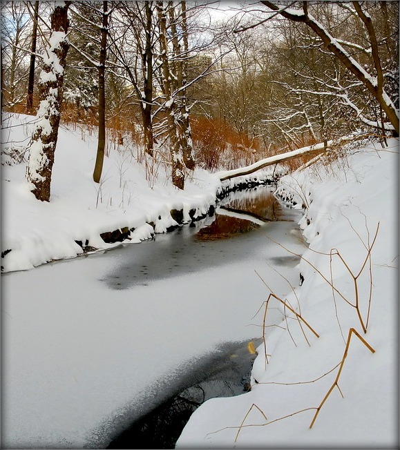 салодкія сны безыменнай ручаінкі