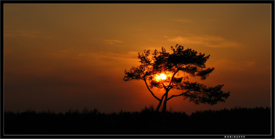 Долина Одинокой Сосны