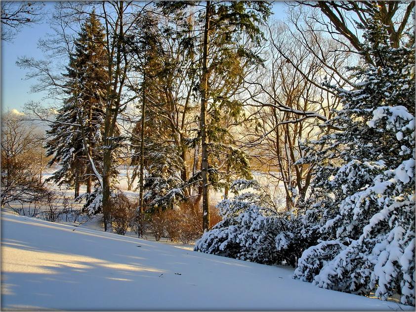 з Новым годам, сябры!