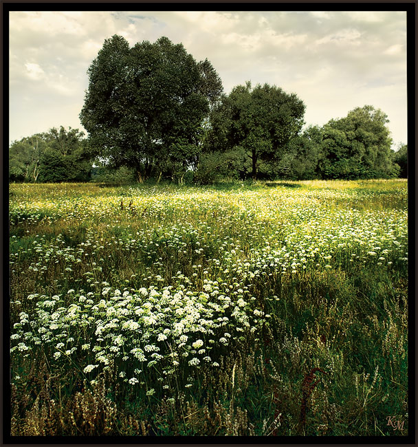 Заливной луг