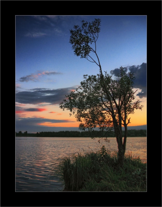 Летним вечером...