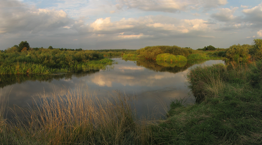 О том, как река раздвояеЦЦа