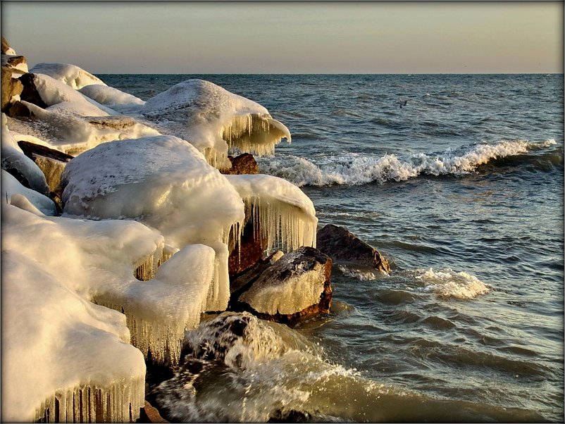 выхад медуз на бераг