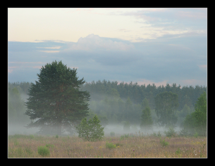 после дождя