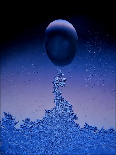 казкі зімовага сонцавароту