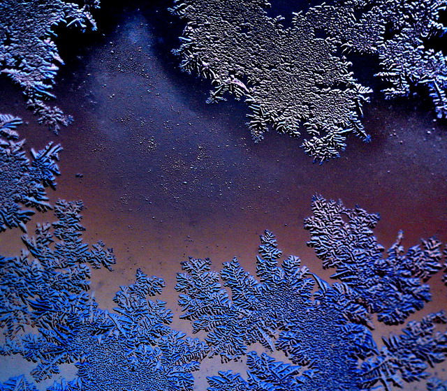 Птушыным Шляхам