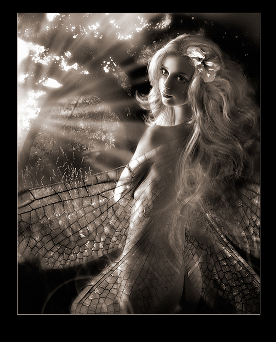 Сказка волшебного леса