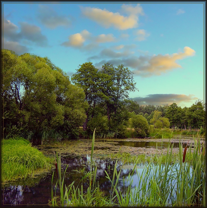 Тихая заводь