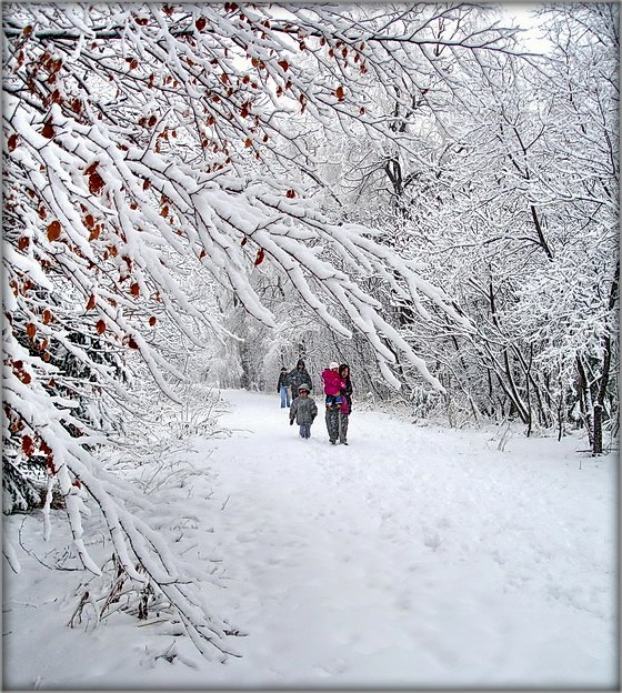 першы ў жыцьці